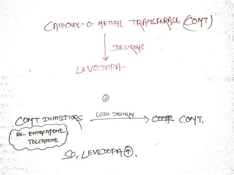 DRUGS ACTING ON NERVOUS SYSTEM-PART II (BSc. NURSING)