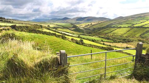 Meaning, Origin And History Of The Name Alannah - frankiepeach.com