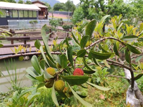 Yuyao Yijia Homestay (Yuyao Siming Lake Scenic Area) in Ningbo | 2025 ...