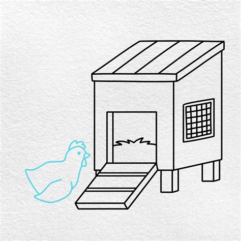 How To Draw A Chicken House at Michael Birdwood blog
