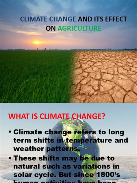 Climate Change and Its Effect On Agriculture... | PDF