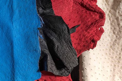 Will fashion stop using exotic animal skins? | Vogue India