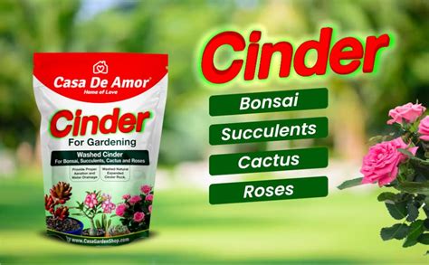 Casa De Amor Cinder for Gardening, Washed, for Bonsai, Succulents ...