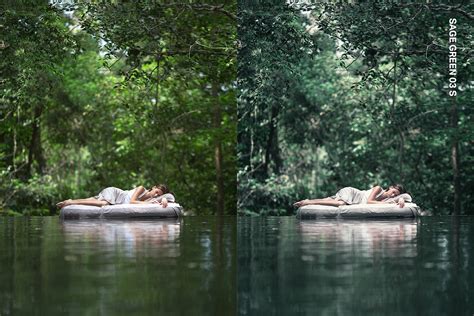 ArtStation - 25 Enchanted Forest Lightroom Presets and LUTs | Resources
