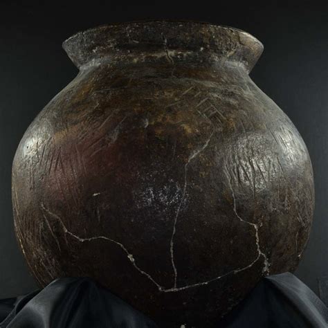 Image result for Cyberware Scanner