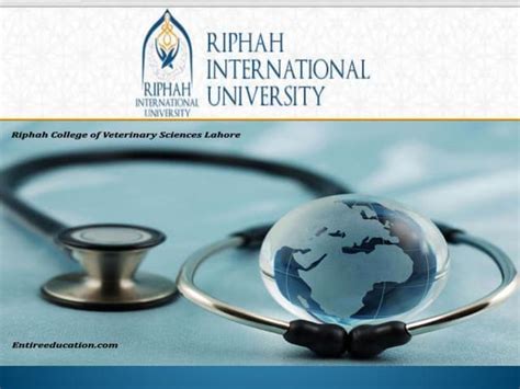 Tissue Processing Procedure 的图像结果