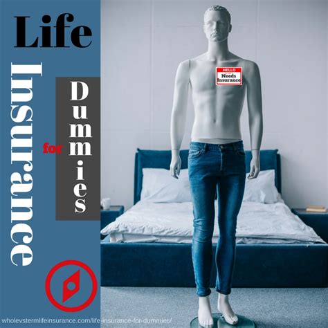 Image result for Life Insurance Terminology For Dummies