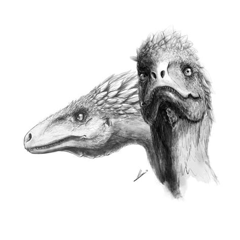 Pin by Jason King on Dinosaurs | Dinosaur drawing, Dinosaur ...