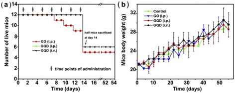 A Review of Advances in Graphene Quantum Dots: From Preparation and ...