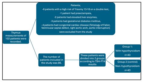 The Effects of Maternal Subclinical Hypothyroidism on Fetal Thymus Size ...
