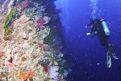 Dive Sites Fiji