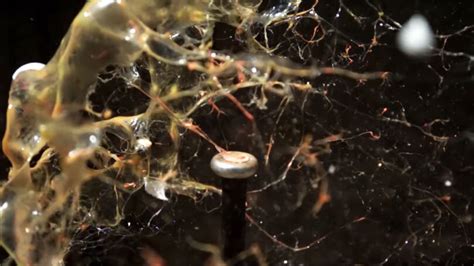 Image result for Stuff Exploding