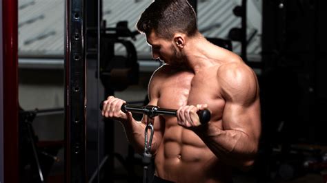 Image result for Bicep Curl Machine Guide