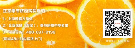 【政务】奉节脐橙网络品牌推广活动_腾讯大渝网_腾讯网