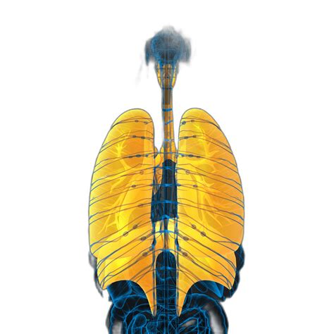 ACE Test (Angiotensin-Converting Enzyme Levels) – healthcare nt sickcare
