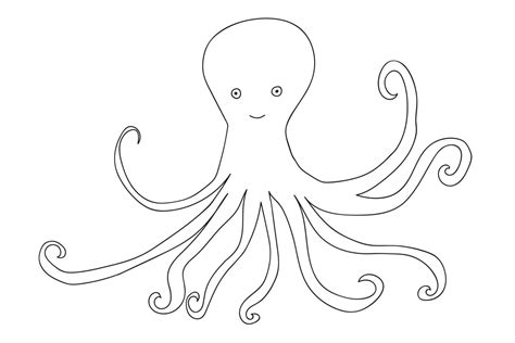 Octopus Software without Box 的图像结果