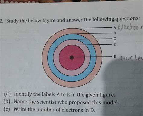 please tell me the answer - Brainly.in