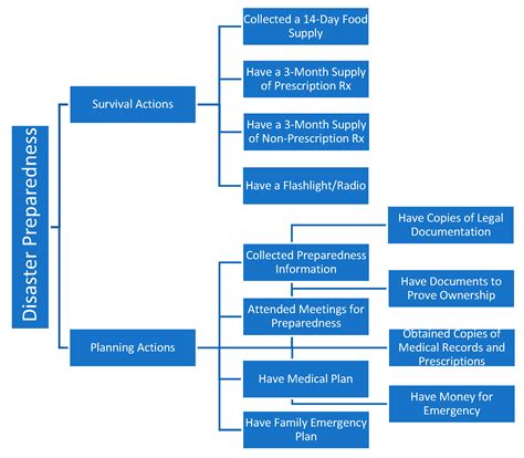 Optimizing Disaster Preparedness Planning for Minority Older Adults ...