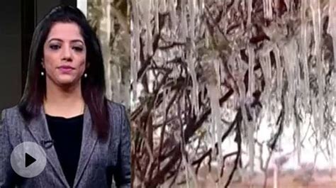 Cold Wave Grips Rajasthan, Fatehpur Record Below Freezing Point