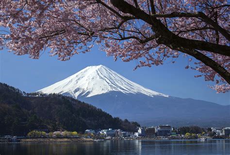 Mt Fuji | Fuji Five Lakes, Japan Fuji Five Lakes - Lonely Planet