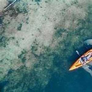 NEW - Mangroves, Manatees & More at Indian River Lagoon, Sebastian ...