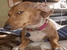 Image result for Meme JavaScript Eqal