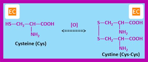 ELEMENTAL CHEMISTRY: Essential Amino Acids