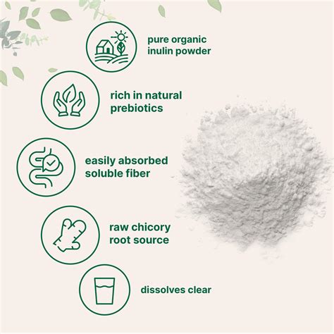 Snapklik.com : Micro Ingredients Organic Chicory Root Inulin Fiber Powder