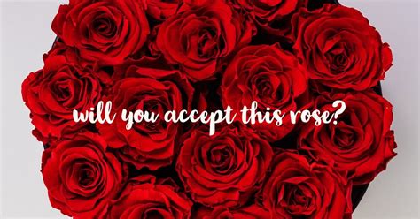 Bachelor in Paradise 2025 - Season Premiere, The Growler Guys (Seattle ...