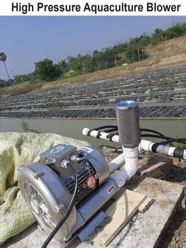 Aquaculture Blower - High Pressure Aquaculture Blower Manufacturer from ...