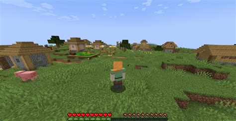 Image result for How to Change View in Minecraft Java