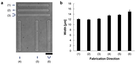In Situ Agarose Microfabrication Technology Using Joule Heating of ...