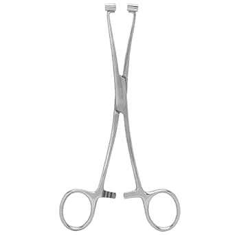 Globelle Curved Stainless Steel 6" Septum Forceps | Precision Piercing ...