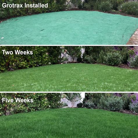 Grotrax Biodegradable Grass Seed Mat - 55 SQFT Year Round - Grass Seed ...