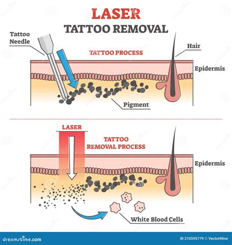 Image result for Tattoo Process