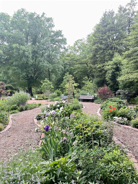 Things to Do in Arlington, VA: Bon Air Rose Garden | Stripes and Whimsy