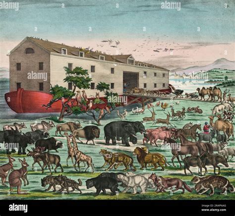Reproduction Of Noah's Ark