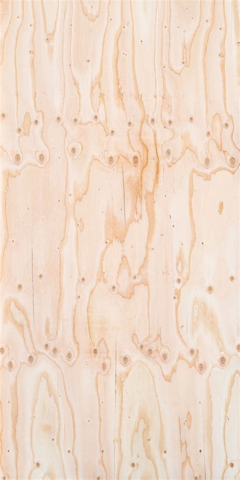 Digital Sample Library | Roseburg