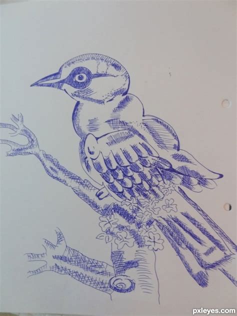 Drawing Contest Pictures of Hatching - Image Page 1 - pxleyes.com