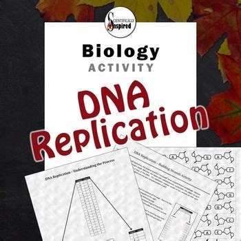 Image result for How to Make DNA Complementary Strands
