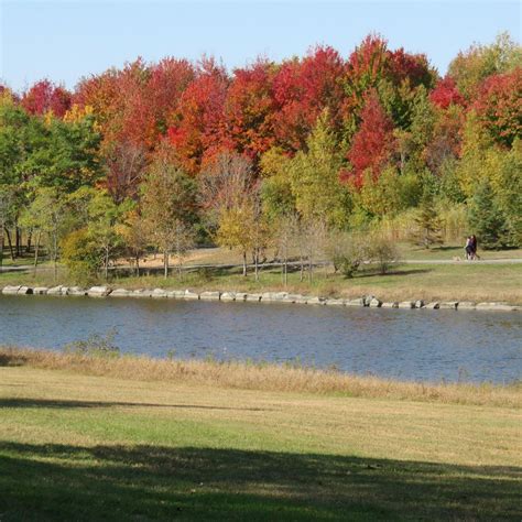 PARC DE LA CITÉ (2025) All You Need to Know BEFORE You Go (with Photos ...