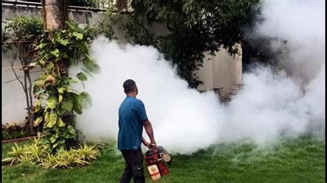 MCD report: Dengue cases cross 4,000-mark for 2024