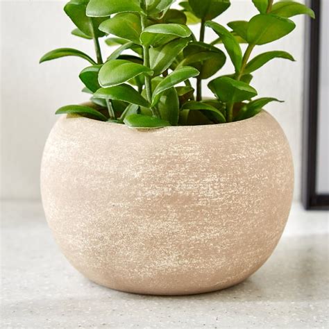 Buy Gloria Bond Artificial Apple Leaf Plant in Paper Mache Pot from ...