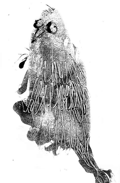 Monotyping Examples 的图像结果