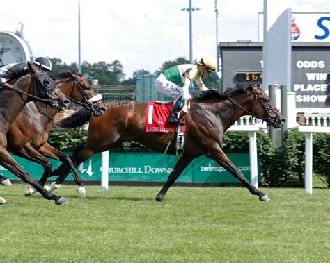 Tiz a Slam brings upset chance to Red Smith Stakes | TwinSpires