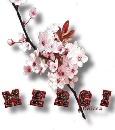 World Cup Merci 的图像结果