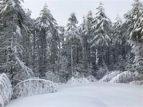 冬季仙境,雪,仙境高清图库素材免费下载(图片编号:6678357)-六图网