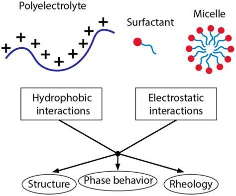 Intermolecular Interactions in Polyelectrolyte and Surfactant Complexes ...