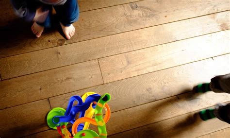 Famous How To Get Rid Of Fleas On Hardwood Floors Ideas - Painting ...