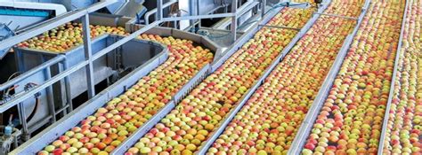 Process Fruit 的图像结果